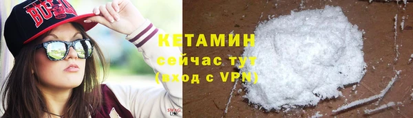 шишки Беломорск