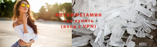 шишки Беломорск