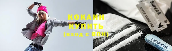 шишки Беломорск
