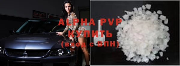 СК Белокуриха