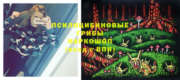 СК Белокуриха