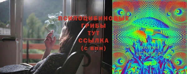 СК Белокуриха