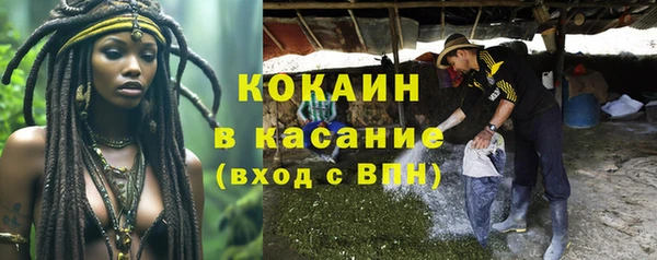 СК Белокуриха