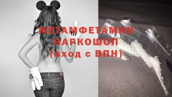 шишки Беломорск