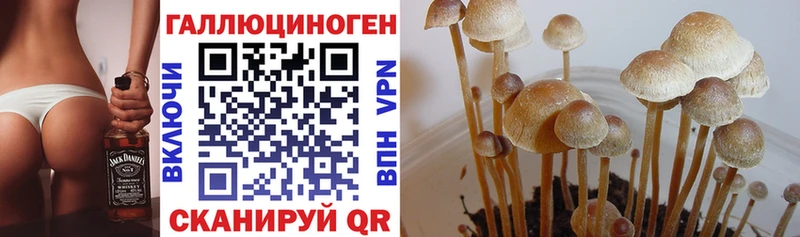 mega маркетплейс  Ворсма  Галлюциногенные грибы мицелий 